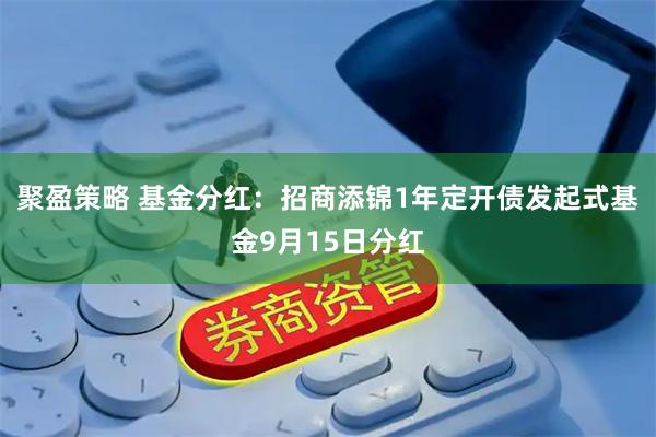 聚盈策略 基金分红：招商添锦1年定开债发起式基金9月15日分红