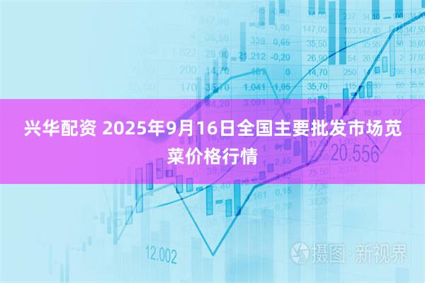 兴华配资 2025年9月16日全国主要批发市场苋菜价格行情