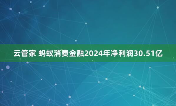 云管家 蚂蚁消费金融2024年净利润30.51亿