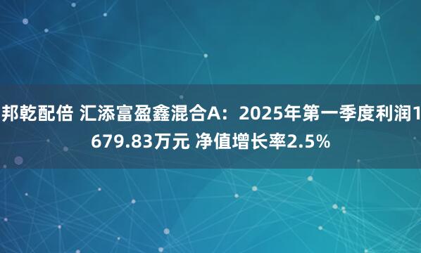 邦乾配倍 汇添富盈鑫混合A：2025年第一季度利润1679.83万元 净值增长率2.5%