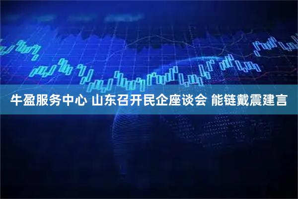 牛盈服务中心 山东召开民企座谈会 能链戴震建言