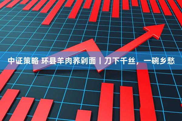 中证策略 环县羊肉荞剁面丨刀下千丝，一碗乡愁