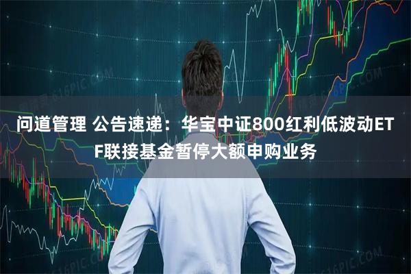 问道管理 公告速递：华宝中证800红利低波动ETF联接基金暂停大额申购业务